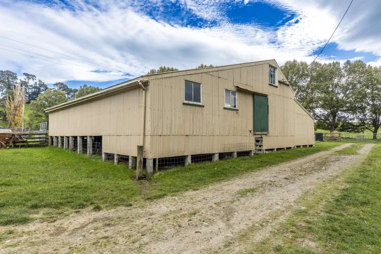 467 Waitahora Valley Road Dannevirke_30
