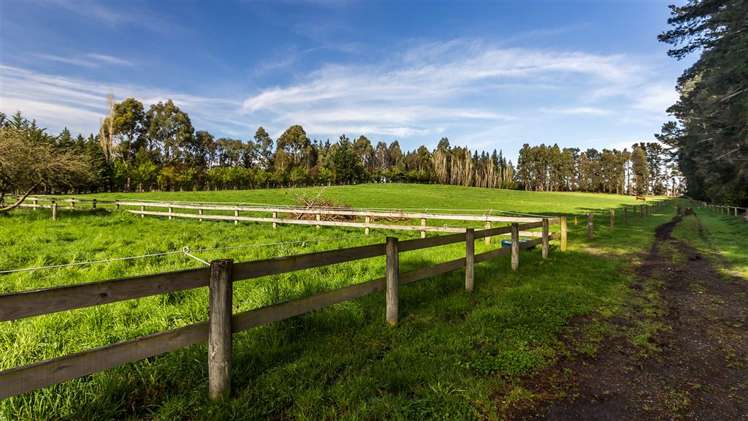 493 Loburn Whiterock Road Loburn_17