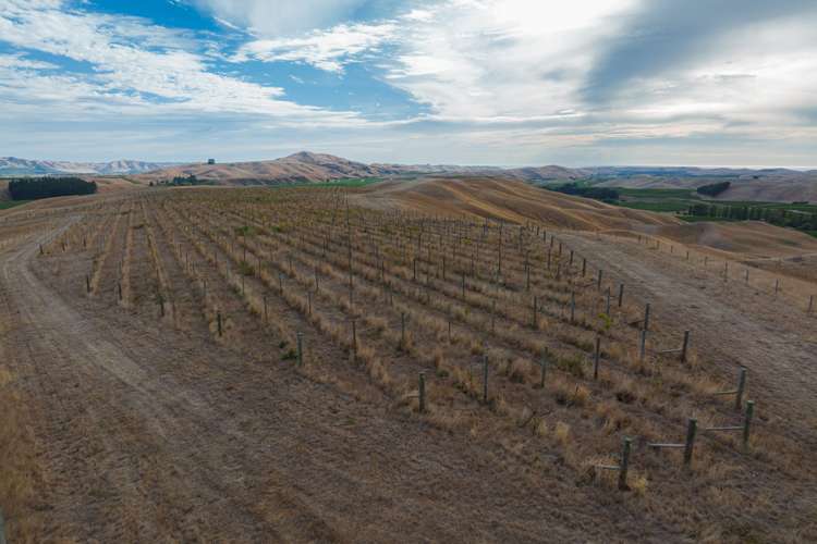 109 Haldons Road Seddon_15