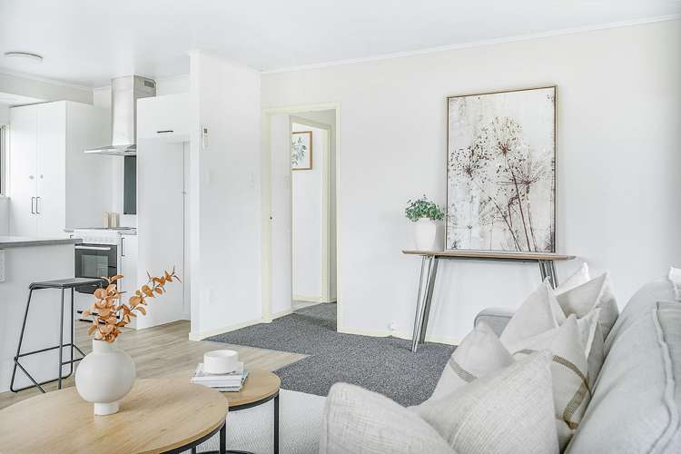 25a Anzac Avenue Morrinsville_11