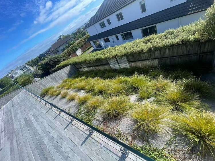16 Thistle Close Beachlands_14