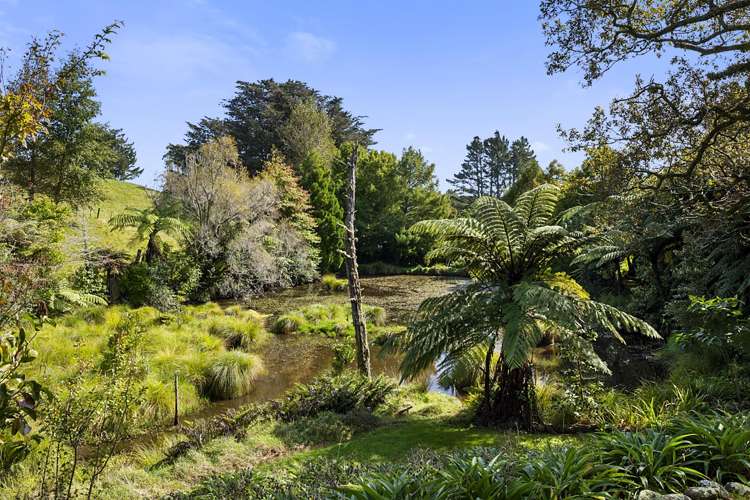 475 Frankley Road Hurworth_18