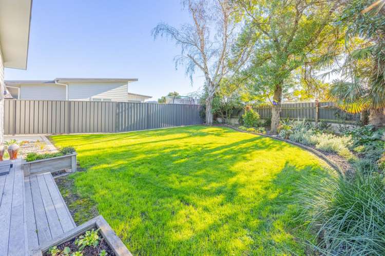 910 Oliphant Road Raureka_19