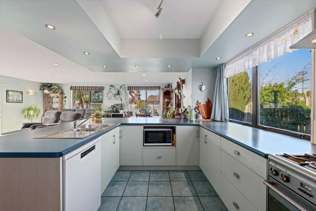 24 Brydon Street Renwick_4