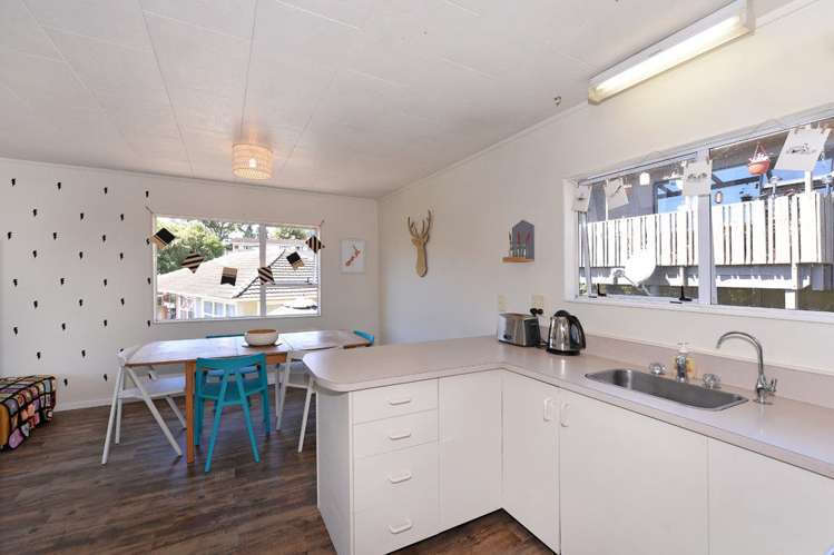 2/4 Ulster Street Wakatu_4