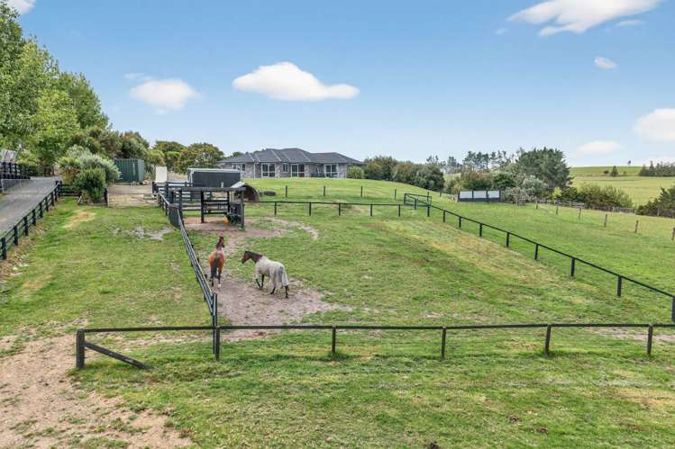 228 Knight Road Ruatangata West_20