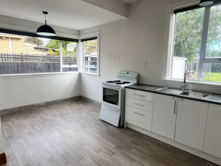 196 Selwyn Street Spreydon_3