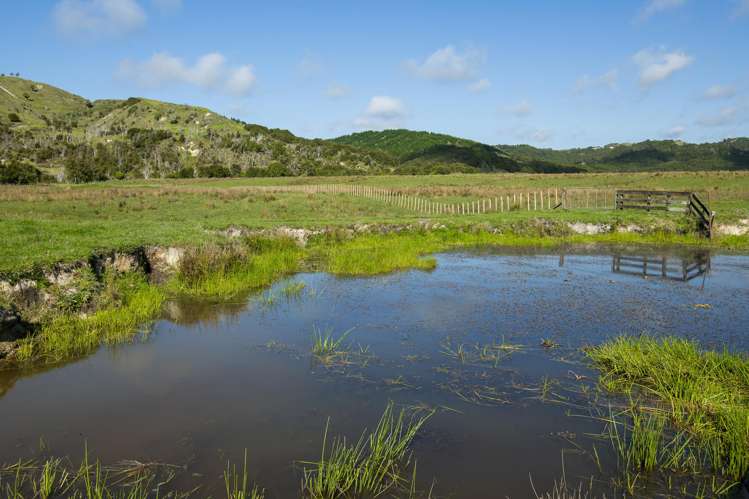 Waihua Valley Wairoa_17