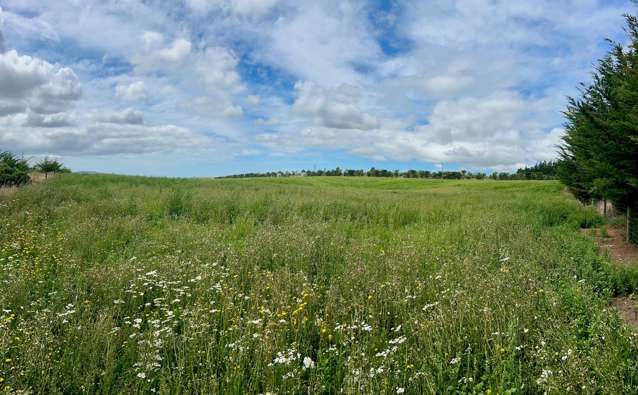 Lot Lot 1/226 Cramptons Bush Road Amberley_4