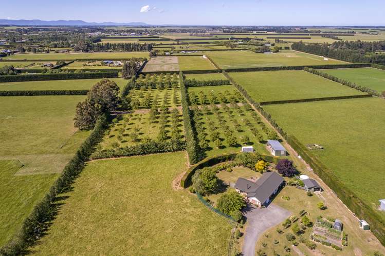 2590 Wards Road Darfield_32