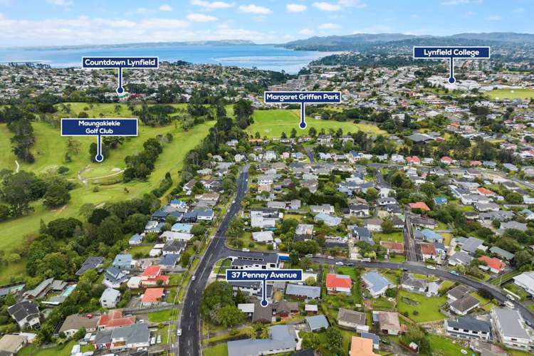37 Penney Avenue Mount Roskill_25