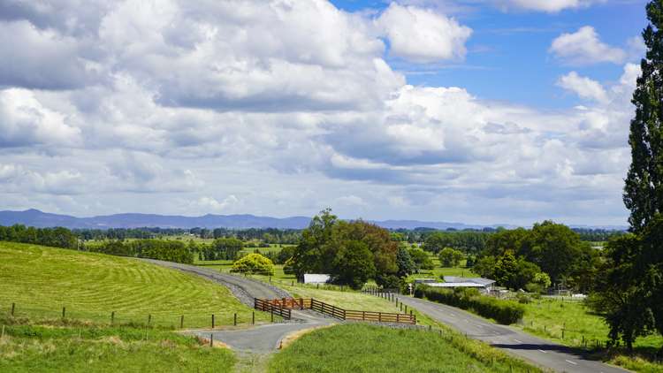 - Morrison Road Paeroa_5