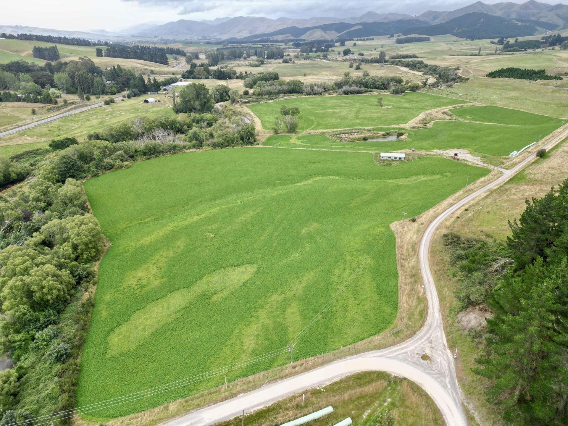 19 Shaw Road Glenpark_0