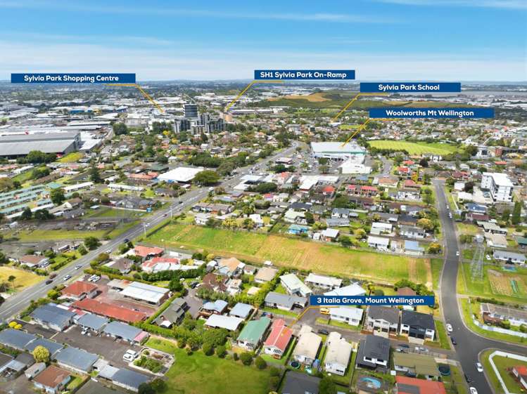 3 Italia Grove Mt Wellington_36