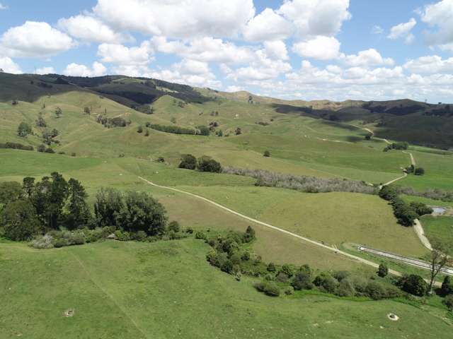 70c Manion Lane Morrinsville_4