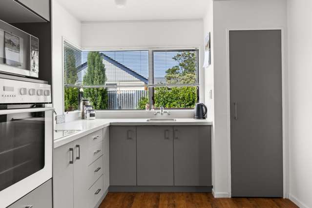 4b Windsor Terrace Taradale_4