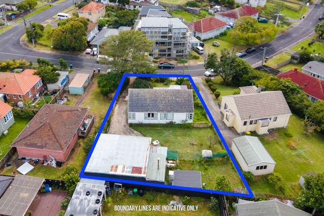 54 Potter Avenue Mt Roskill_1
