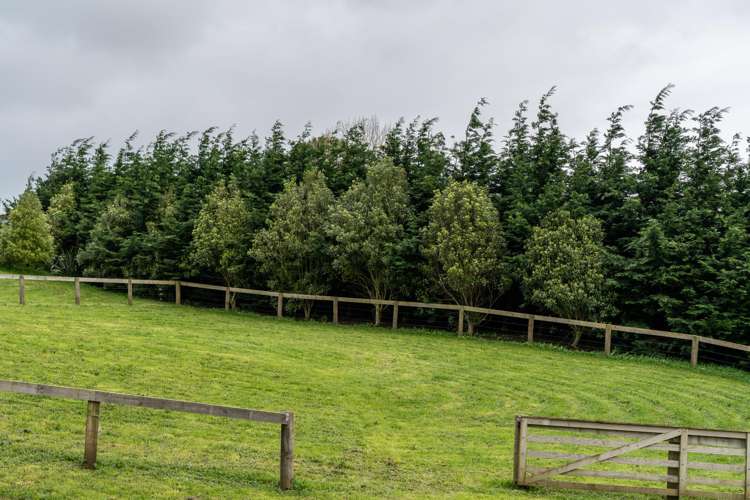 28 Wrights Road Raglan_8