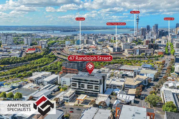 47 Randolph Street Eden Terrace_22