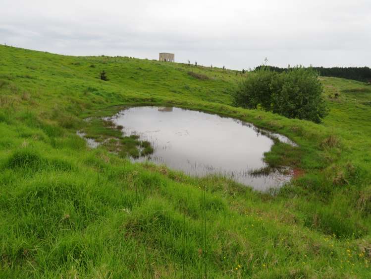 289 Franklin Road Paparoa_9