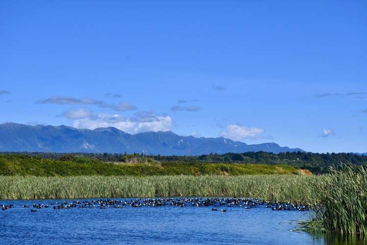 Lot 4 Nth Karamea Road Karamea_40