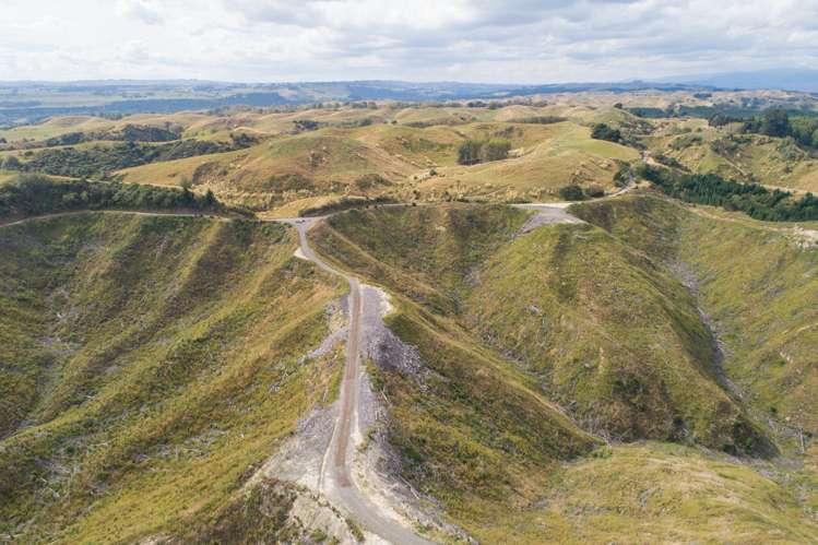 Ridge Road Pohangina_9