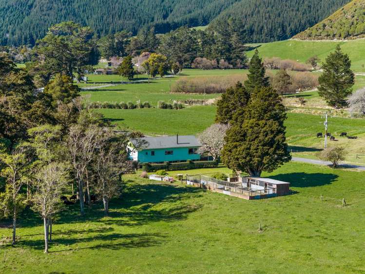 561 Opouri Road Rai Valley_43