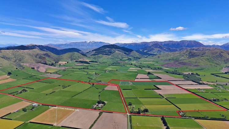 677 Pig Saddle Road_1