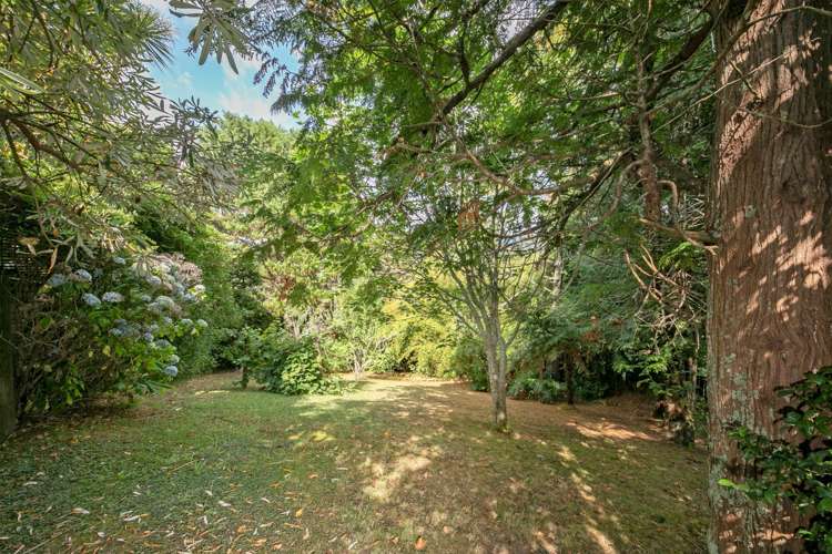 182 Glengarry Road Glen Eden_5