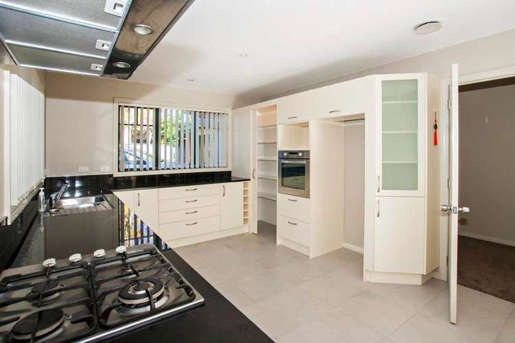 19a Rewi Road Royal Oak_22