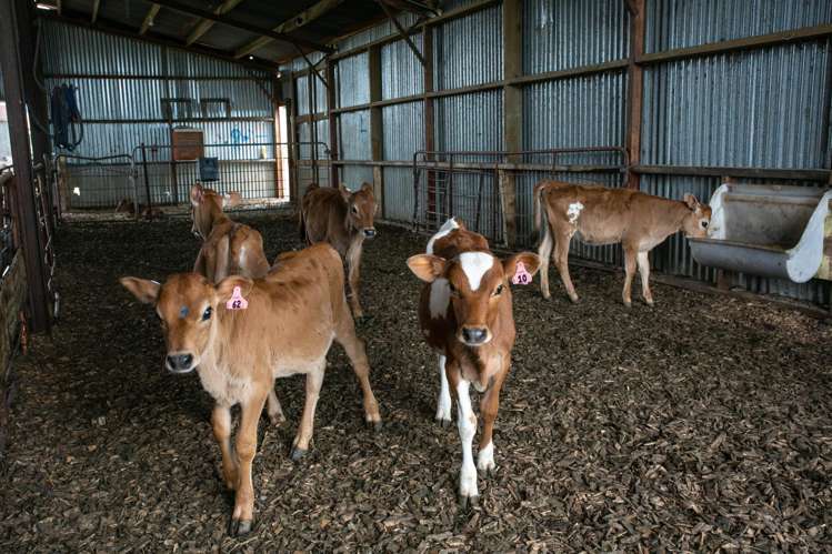 290 Waghorn Road Wardville_13