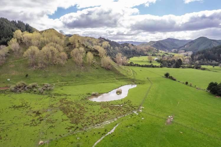 1471 Mangamahu Road Mangamahu_6