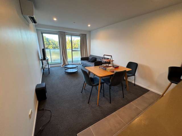 6 Winchester Street Grey Lynn_3