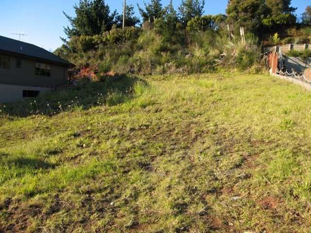 113 Pacific View Drive Whangamata_1