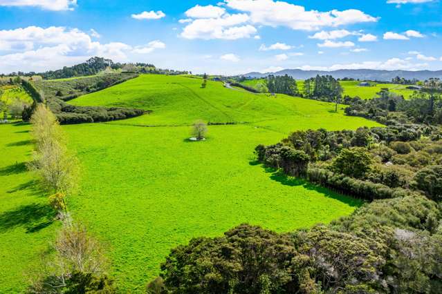 77 Sharp Road Matakana_3