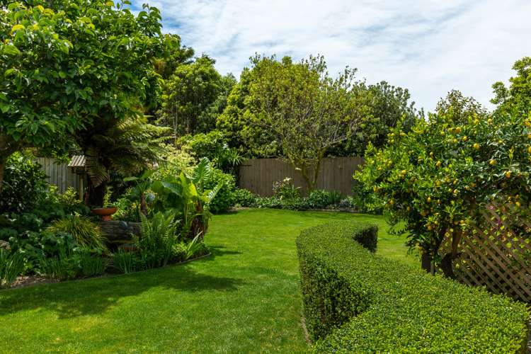 46 Endeavour Street Riversdale_5