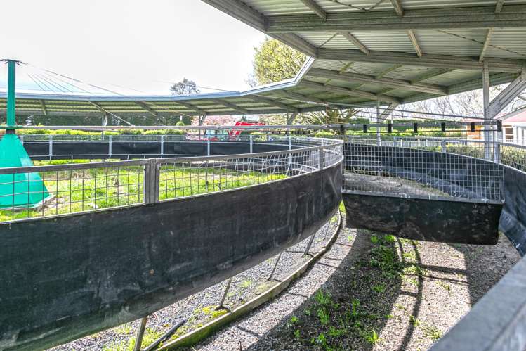 320 Hinuera Road Matamata_5