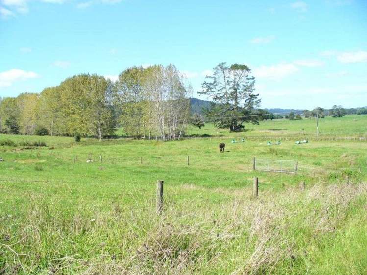 150 Jordan Valley Road Hikurangi_5