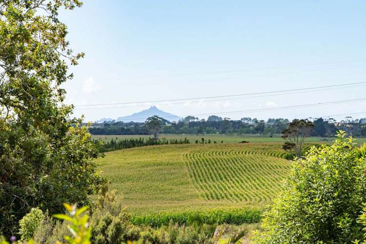 233 Shoemaker Road Waipu_12