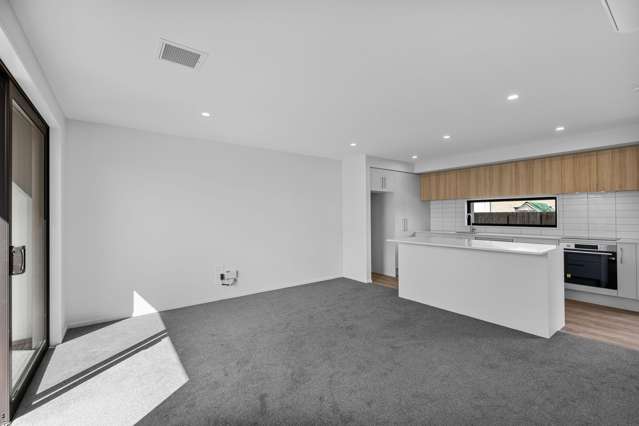 41b Strickland Street Sydenham_2
