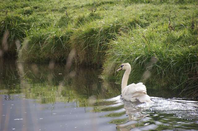 2900 Christchurch Akaroa Road Little River_4