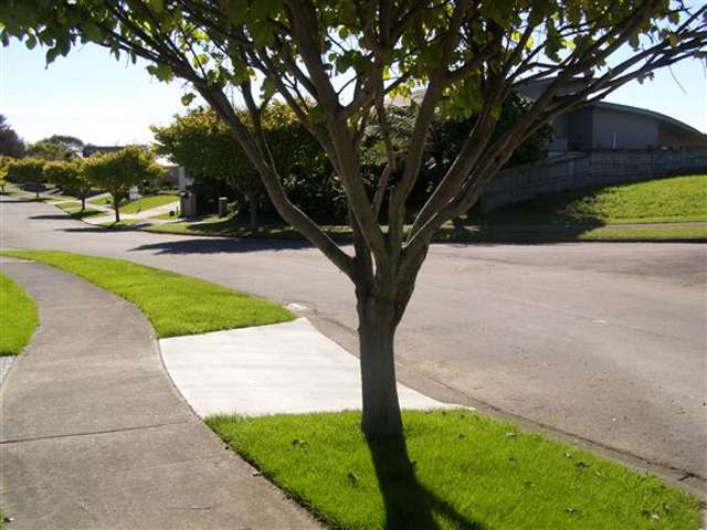 30 Speranza Avenue Otaki_1