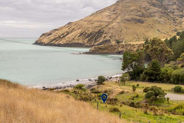 The raw beauty that is Camp Bay