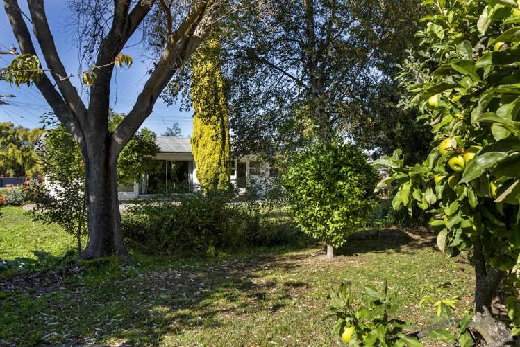 2 David Street Yelverton_22