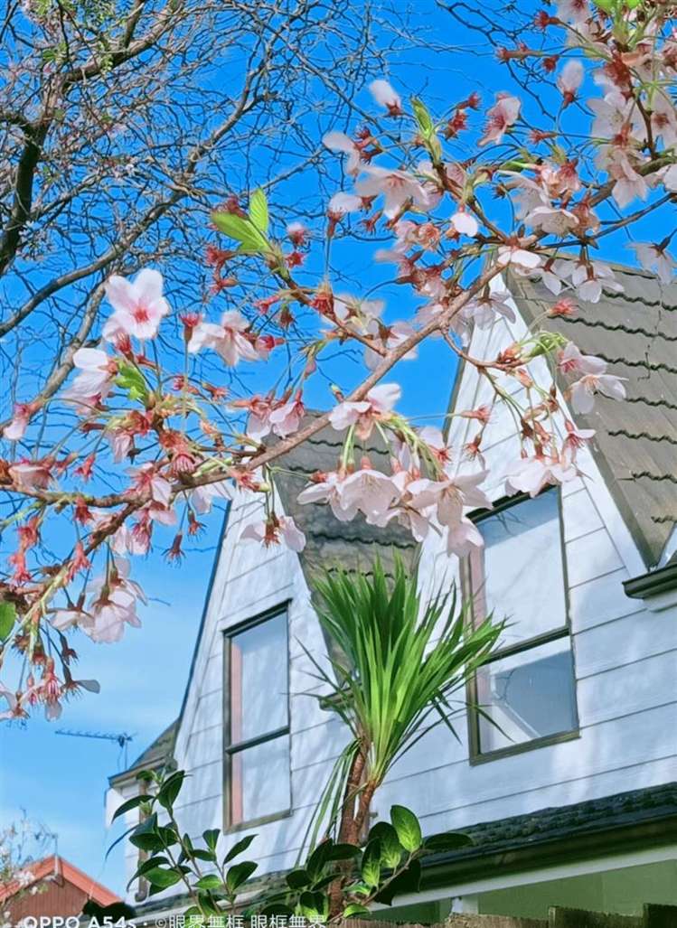 37 Townshend Crescent Halswell_16