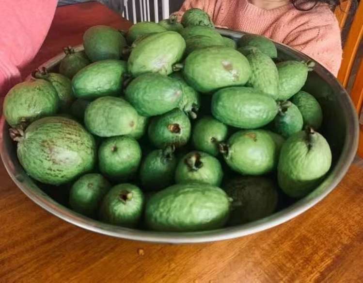 33 Grimsby Grove Wainuiomata_7