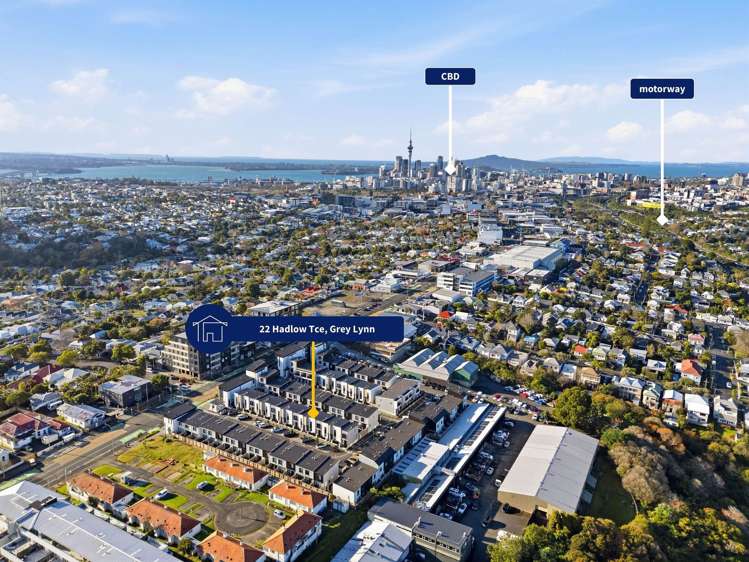 22 Hadlow Terrace Grey Lynn_16