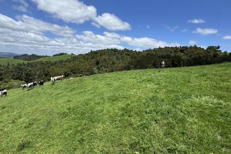 565 Barber Road Otewa_48