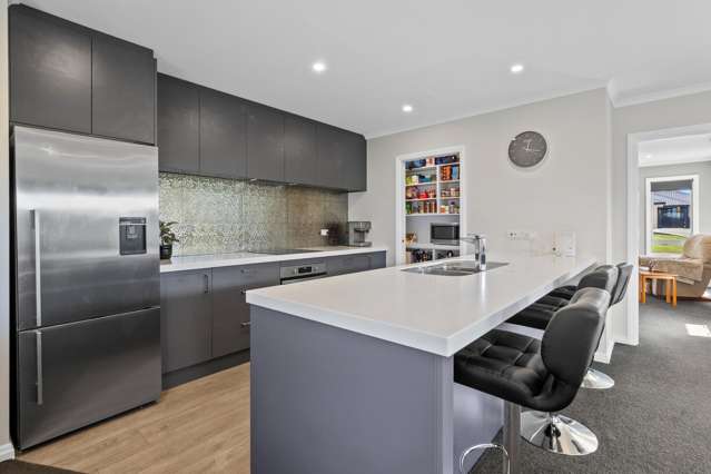 60 Braebrook Drive Netherby_1