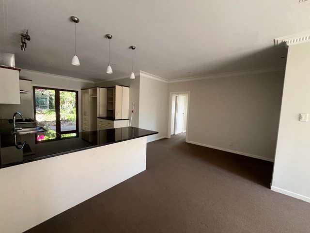 Roberta Avenue Glendowie_2